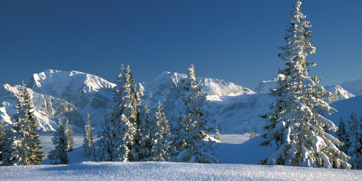 grunau skigebied
